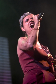 Singer Selena. Gay pride demonstration 2012, equal marriage and equality without cuts